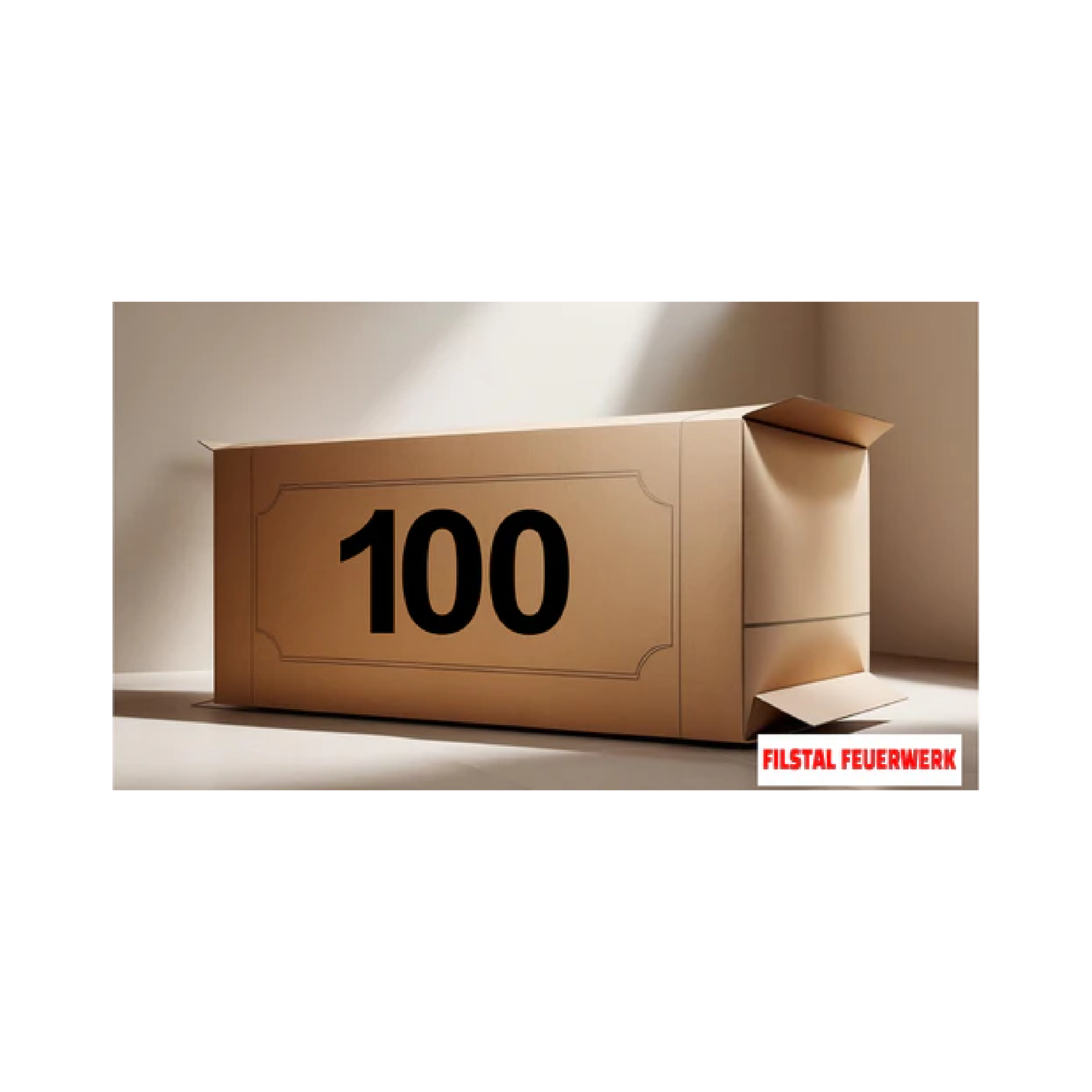 Überaschungspaket 100